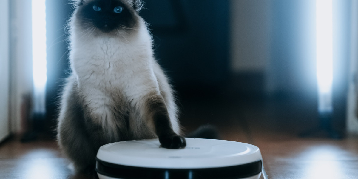 See What Robotic Vacuum Cleaner On Sale Tricks The Celebs Are Making Use Of