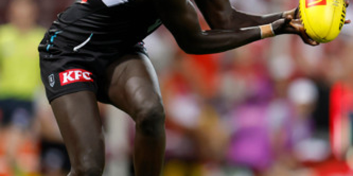 Port Adelaide Coach Speaks Out - Fan Behavior Issues