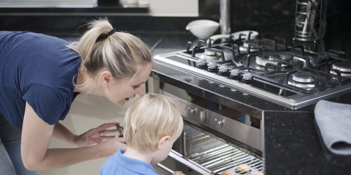 The 10 Scariest Things About Cooker Integrated