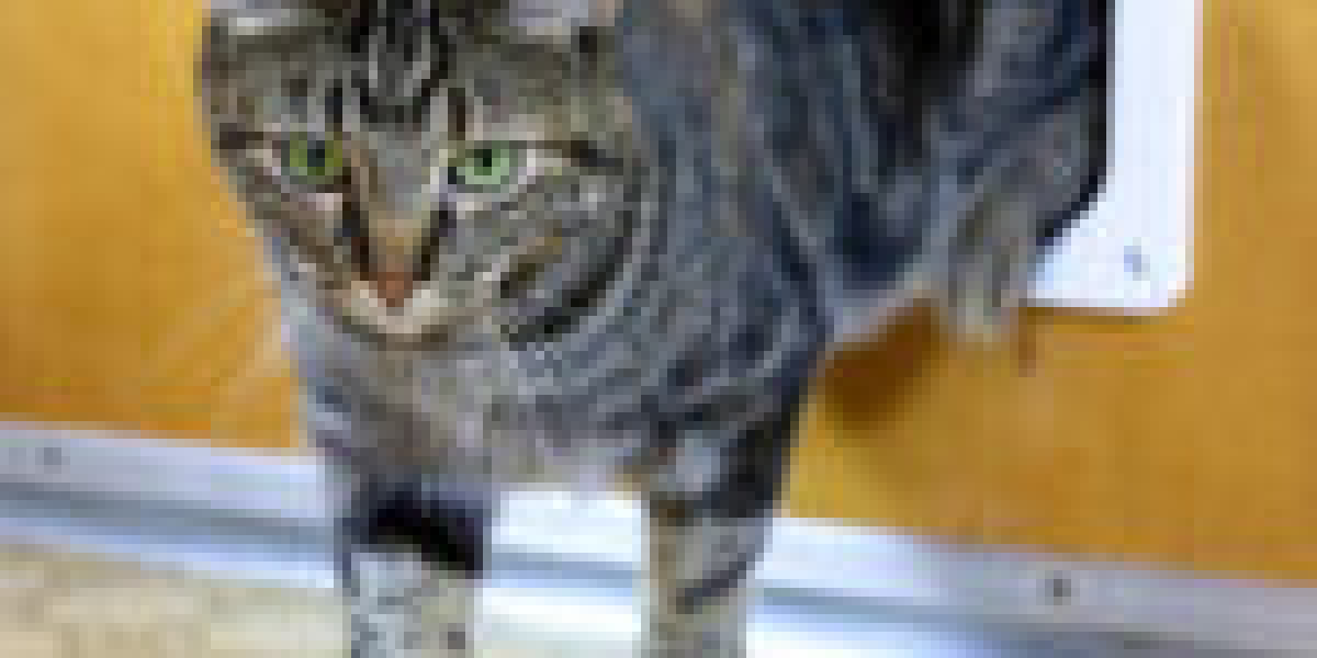 Why You Should Focus On Enhancing Cat Access Door Installer