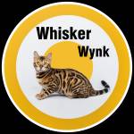 Whisker Wynk